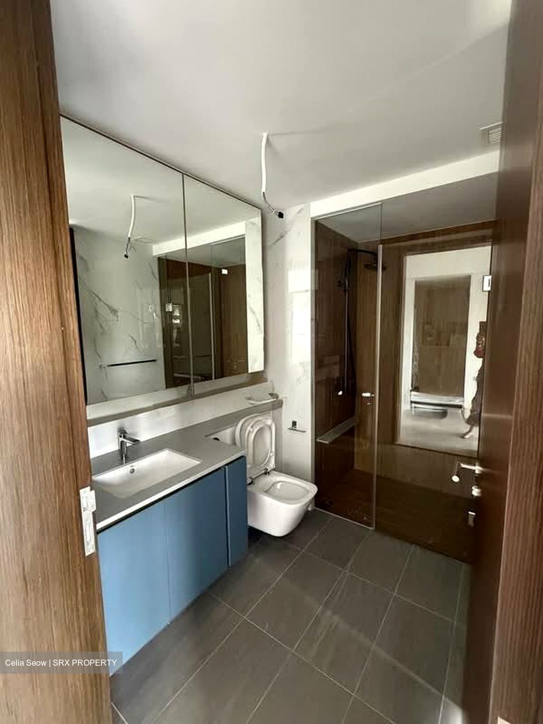 Amo Residence (D20), Apartment #528714031